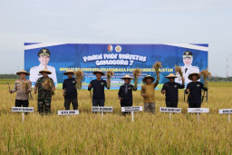 Gas Swasembada Pangan, Setyo Wahono Pasang Target Bojonegoro Jadi Produsen Padi Tertinggi Nasional 2028