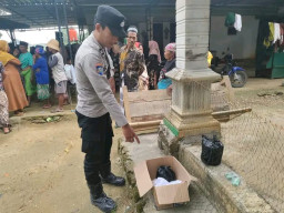 Ironis! Bayi Perempuan Meninggal Ditemukan dalam Kardus di Tlambah Sampang