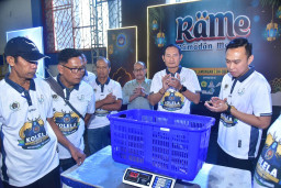 Lele Raksasa 10 Kg Jadi Juara, Kontes Lele Perdana Lamongan Sukses Sedot Perhatian