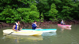Pesona Mangrove Hijau Daun Bawean, Wisata Edukasi Alam Berbasis Warga yang Ramai Saat Lebaran