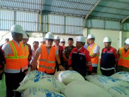 Menko Pangan Zulhas Janji Genjot Produksi Garam di Sampang Madura 