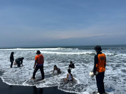 Bocah 11 Tahun Nyaris Kehilangan Nyawa Usai Ditelan Ombak Pantai Paseban Jember