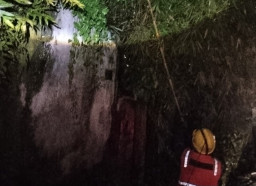 Bambu Roboh Timpa Kabel Listrik, 5 Desa di Kecamatan Sukorambi Sempat Padam