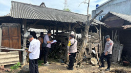 Tuban Darurat Pencurian Ternak, 8 Sapi Hilang dalam Hitungan Hari