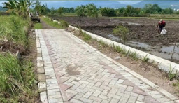 Jalan Usaha Tani Minim, Ribuan Hektare Lahan di Sumenep Terkendala Akses