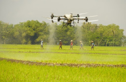 Drone Masuk Sawah! Teknologi Pertanian Presisi Uji Coba Pupuk Cair di Lahan 50 Hektare Bojonegoro