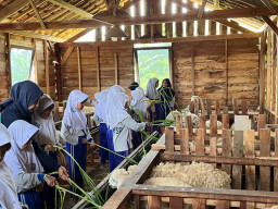 Desa Wisata Lerep Binaan TJSL PLN Raih Omzet Rp722 Juta Sepanjang 2025