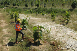 Transformasi Hijau SIG: Dari Limbah Jadi Energi hingga Reklamasi Pascatambang