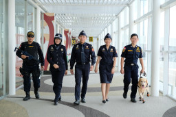 Bea Cukai Bakal Buka 380 Lowongan Kerja Buat Lulusan SMA, ini Jadwalnya