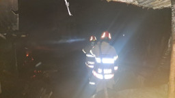 Bakar Sampah Berujung Petaka! Kandang Kambing di Temayang Bojonegoro Hangus Dilalap Api