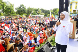 Jatim Pimpin Ekonomi Perhutanan Sosial Nasional, Khofifah Fokus Perkuat Agroforestri Kopi