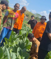 Viral Lahan Sawah Bergemuruh di Sampang, BPBD Koordinasikan Penyelidikan dengan ESDM