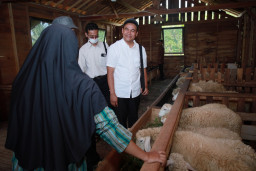 PLN Perkuat Pengembangan Ekowisata Desa Gebugan Lewat Studi Banding ke Desa Wisata Lerep