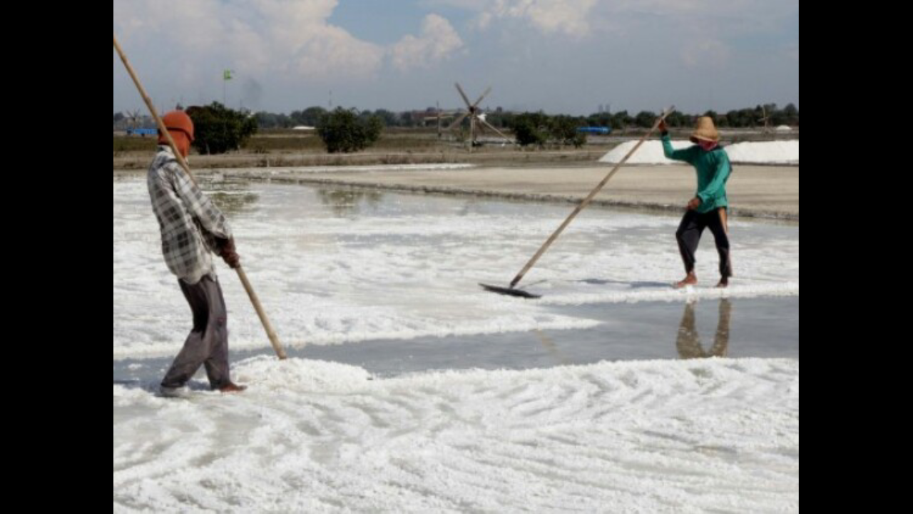 Harga Garam Anjlok, Petani di Pasuruan Menjerit