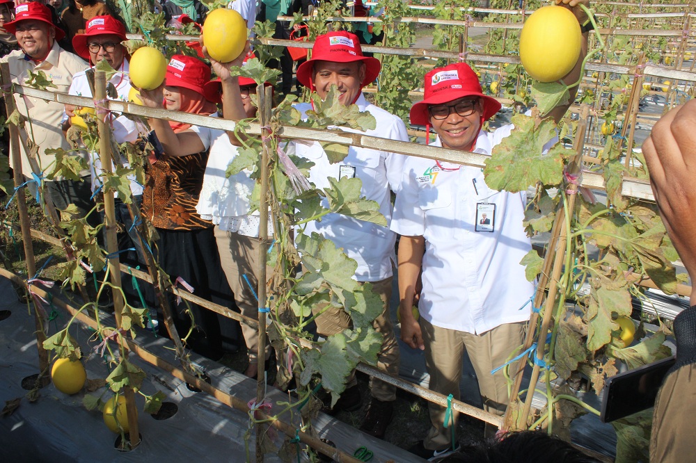 PG Luncurkan Produk Baru Khusus Tanaman Perkebunan