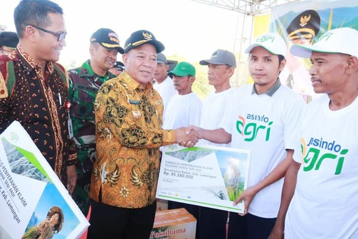 Klaim Gagal Panen Petani Lamongan Capai Rp 3,6 Miliar