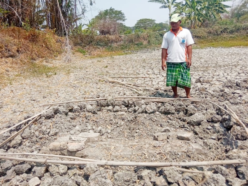 Tumpukan Batu Menyerupai Kuburan di Tambak Bikin Heboh Warga Lamongan