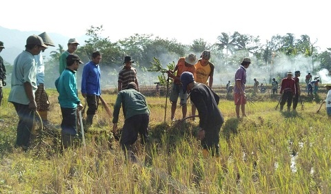 Di Lamongan, 12 Orang Tewas Akibat Jebakan Tikus Listrik