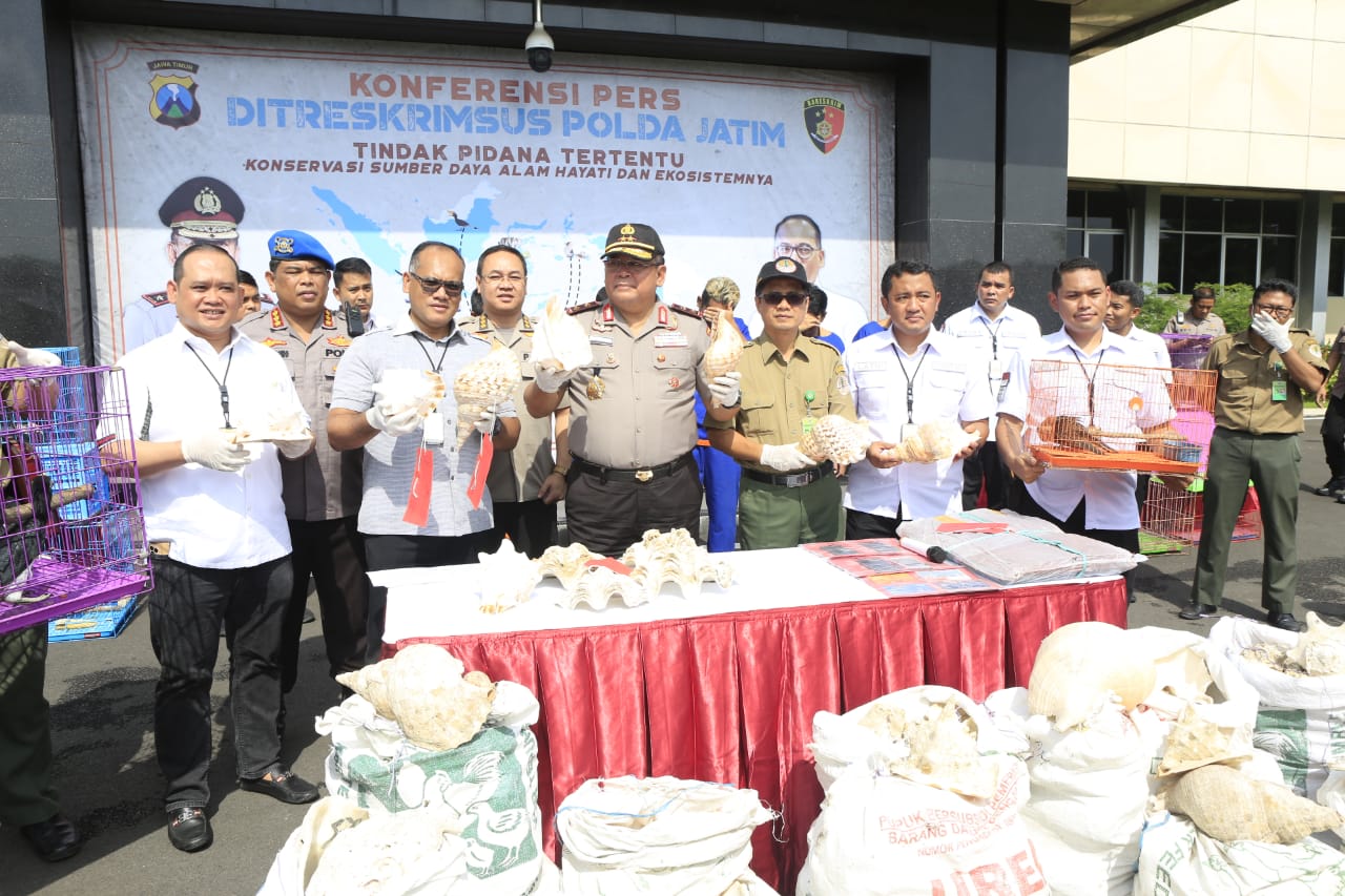 Jaringan Pedagang Satwa Dilindungi Terbongkar, Polisi Amankan Tersangka dari Berbagai Kota