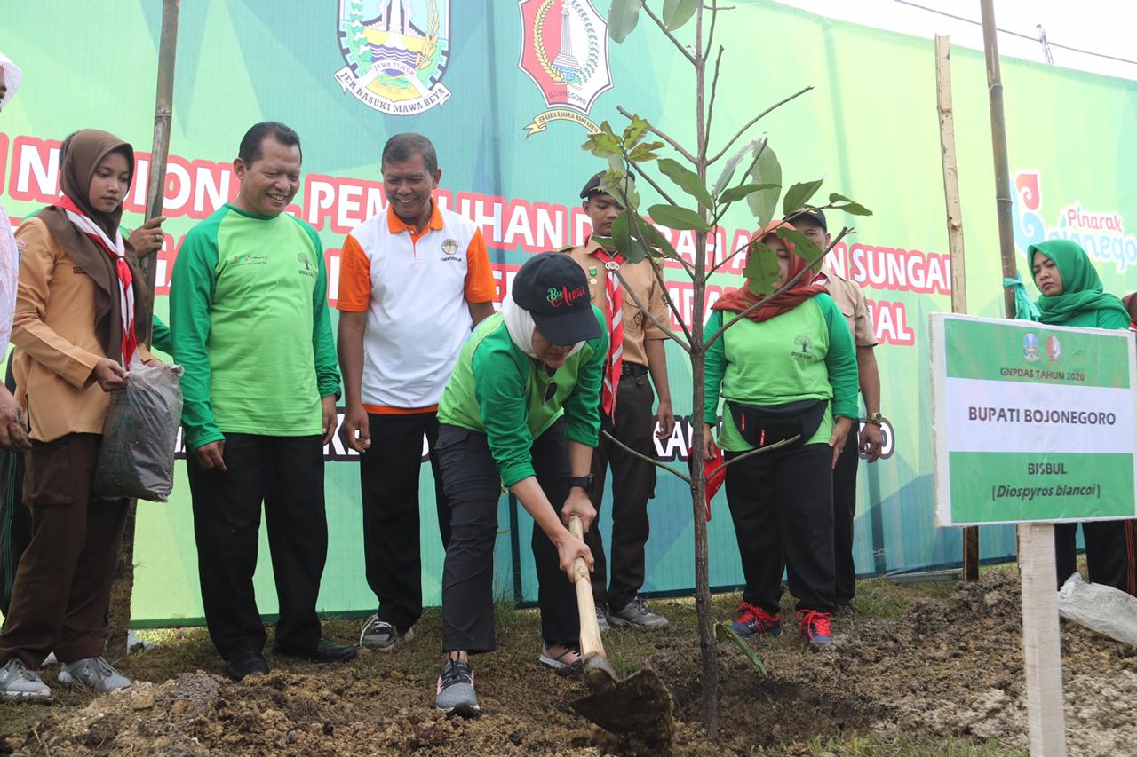 Bojonegoro Tanam 500 Ribu Pohon Dalam Waktu 5 Tahun