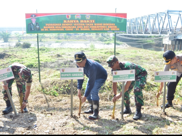 Cegah Banjir, Tepi Kali Lamong Ditanami Rumput Vetiver