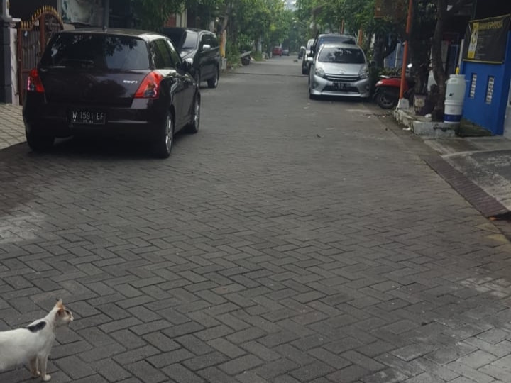 Semakin Panik, Tetangga Pasien Meninggal Berharap Ada Penyemprotan