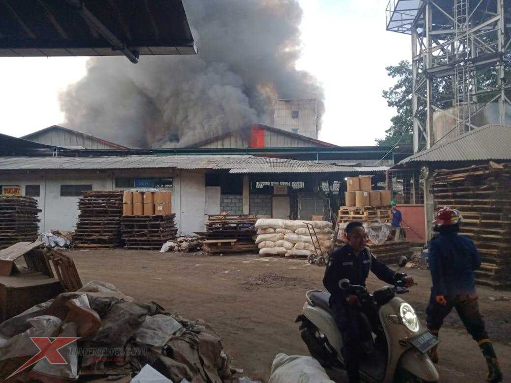 Gudang Pakan Ternak di Taman Sidoarjo Terbakar