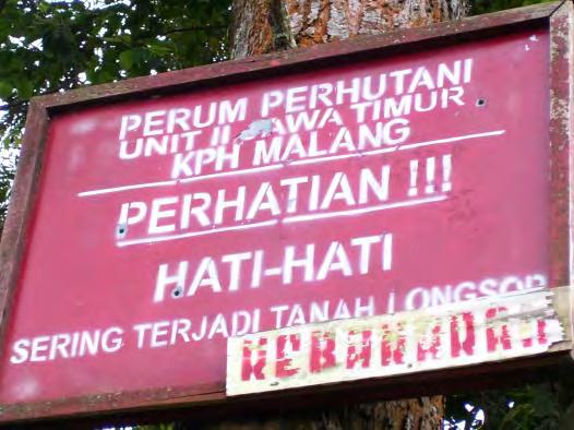 Perhutani Siapkan Lahan Untuk Makam Khusus Pasien Covid-19