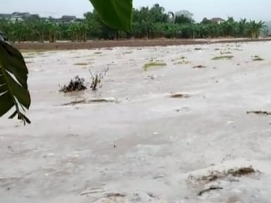 Nekat Nyeberang Sungai, Petani Asal Gondang Bojonegoro Terseret Arus