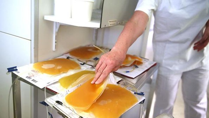 Plasma Darah Pasien Sembuh Efektif Obati Covid-19