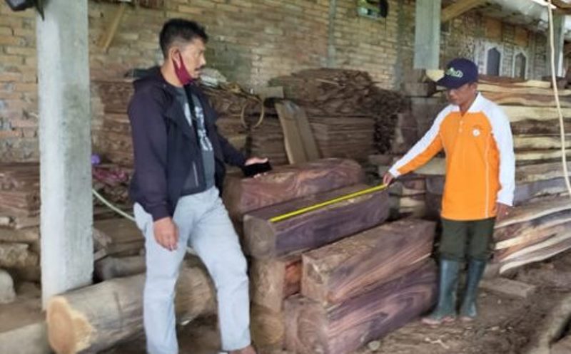 Empat Pembalak Kayu Hutan Ponorogo Diringkus