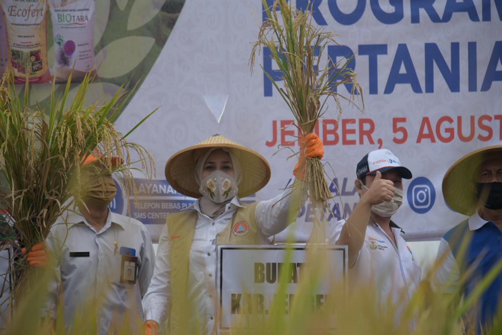 Bupati Faida : Kemitraan Pertanian Hasilkan Panen Hingga 10,7 Ton