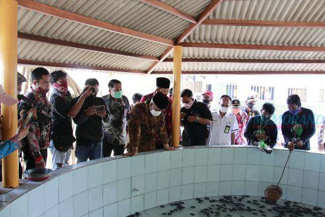 Pemkab Malang dan PT Pertamina MOR V Lestarikan Penyu Abu-abu Pantai Bajulmati