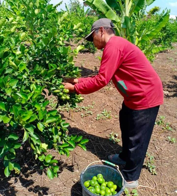 Ketua DPRD Gresik Minta Perusahaan Serap Produk Petani Lokal