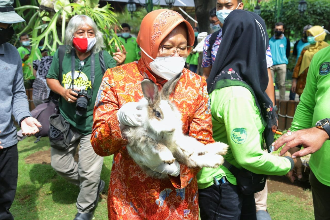 Risma Minta Warga Surabaya Manfaatkan Hutan Kota untuk Liburan Akhir Tahun