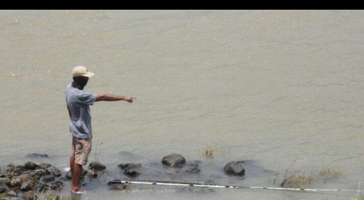 Buaya Sepanjang 2 Meter Muncul di Sungai Porong