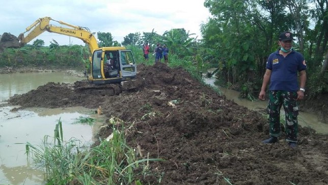 Tanggul Sungai Mengkuli Lamongan Jebol, Puluhan Hektar Sawah Terendam