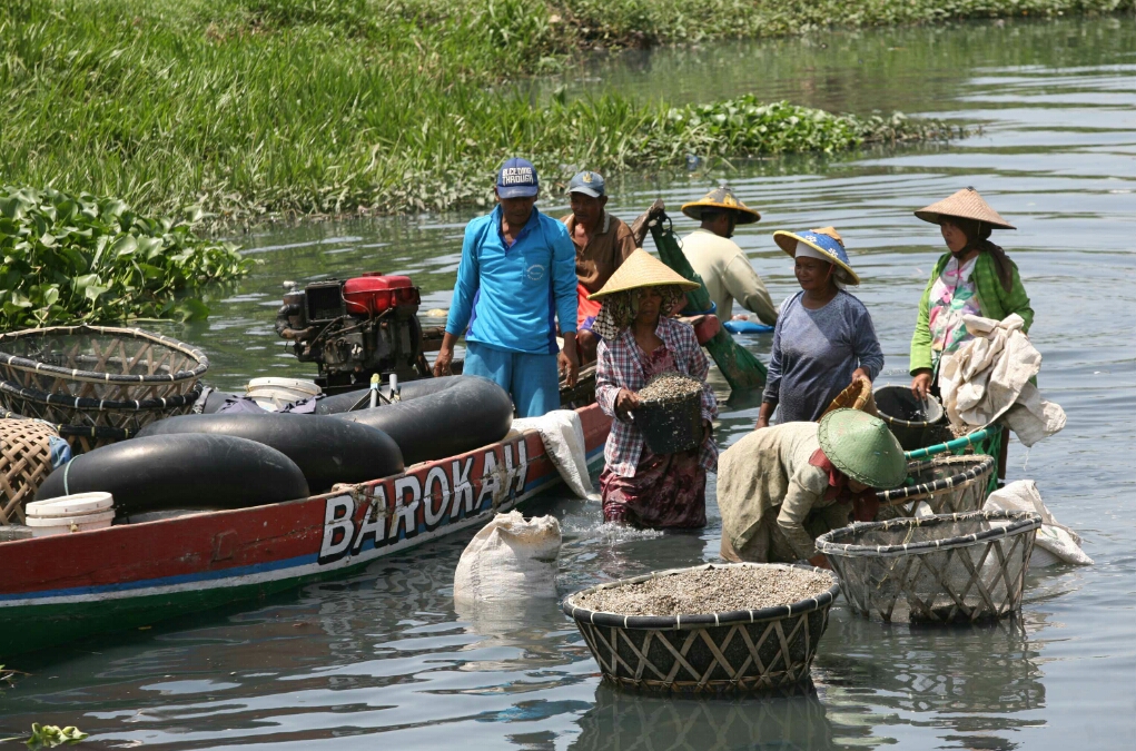 Tak Ada Regenerasi Nelayan, Dikhawatirkan Kampung Kupang Sidoarjo Bakal Mati