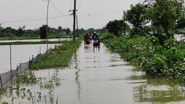 Bengawan Njero Lamongan Meluap, Ribuan Rumah Terendam