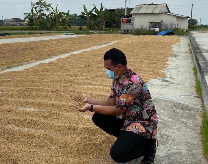 Bulog Siap Serap Beras Petani di Gresik, Tapi Ada Syaratnya  