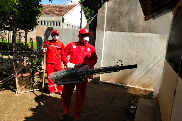 Sejak Januari, 223 Warga Situbondo Terjangkit DBD, Tiga Pasien Meninggal Dunia