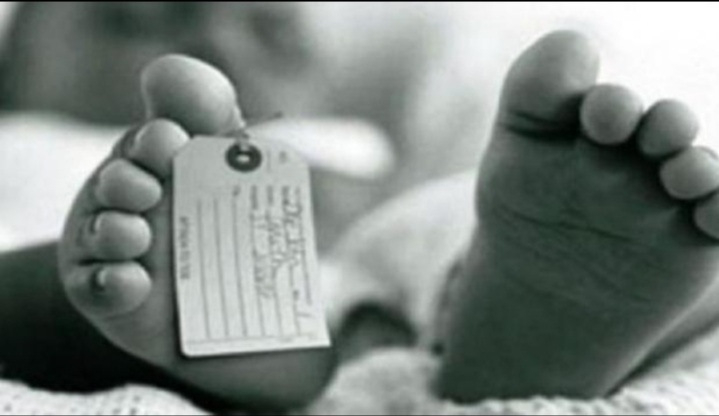 Mayat Bayi Dalam Kardus Dilampiri Surat Ditemukan Warga Malang Dekat Makam