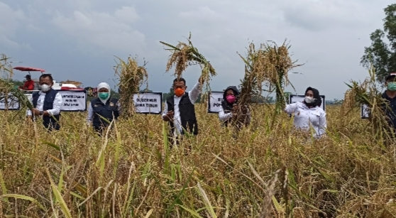 Optimalkan Serapan Hasil Panen Petani, Bupati Sugiri Rencanakan Ganti Tunjangan ASN dengan Beras