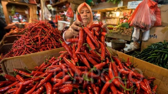Daerah Penghasil Mulai Panen Raya, Harga Lombok Kini Kembali Normal