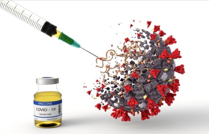 Uji Praklinik Tahap I Bagus, Tim peneliti: Vaksin Merah Putih Siap Digunakan Awal 2022