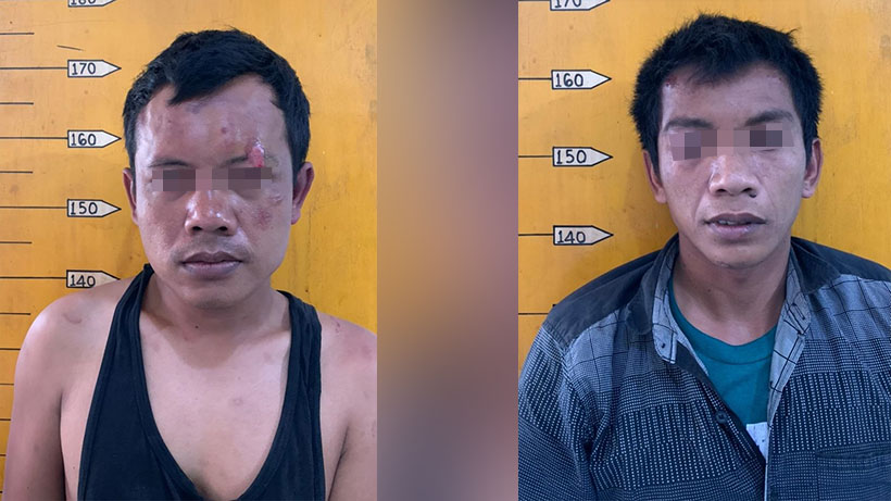 Alap-alap Burung Peliharaan Diangkut Polisi Malang