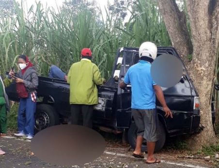 Pikap Angkut 25 Emak-emak Peserta Arisan Tabrak Pohon di Malang, 7 Orang Tewas