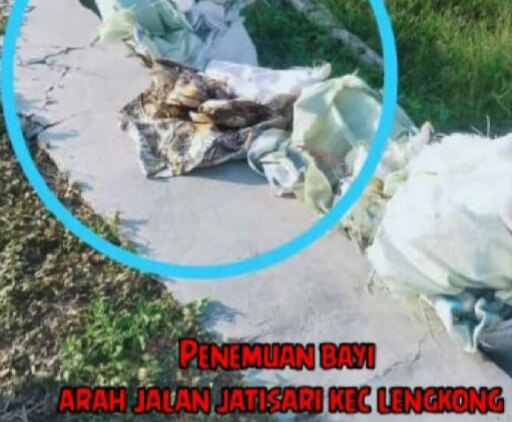 Lagi Nyapu Gudang, Warga Lengkong Nganjuk Temukan Bayi Mungil