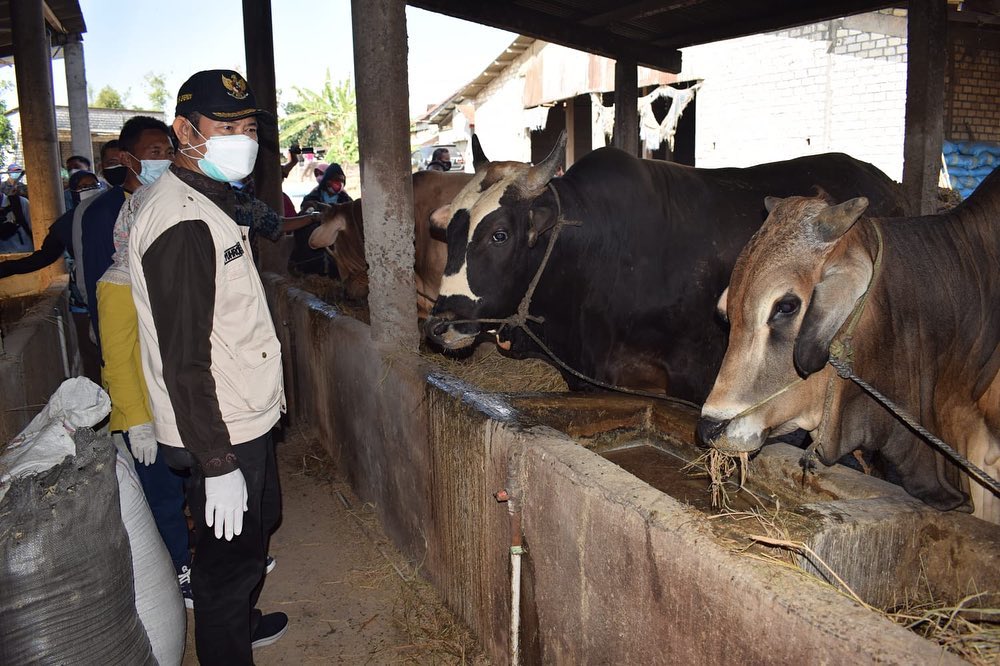 Ternyata Warga Lamongan Banyak Yang Mampu Beli Hewan Kurban Meski Ekonomi Lagi Sulit