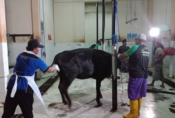 Ketua DPRD Probolinggo Sarankan Sembelih Hewan Kurban di RPH